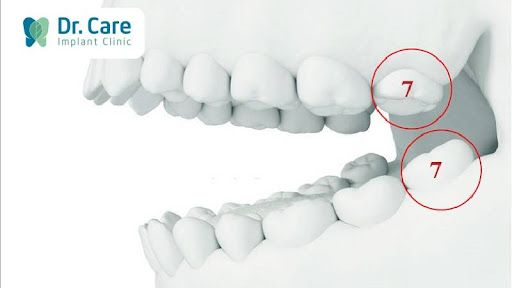 Nằm ở vị trí đặc biệt trên cung hàm