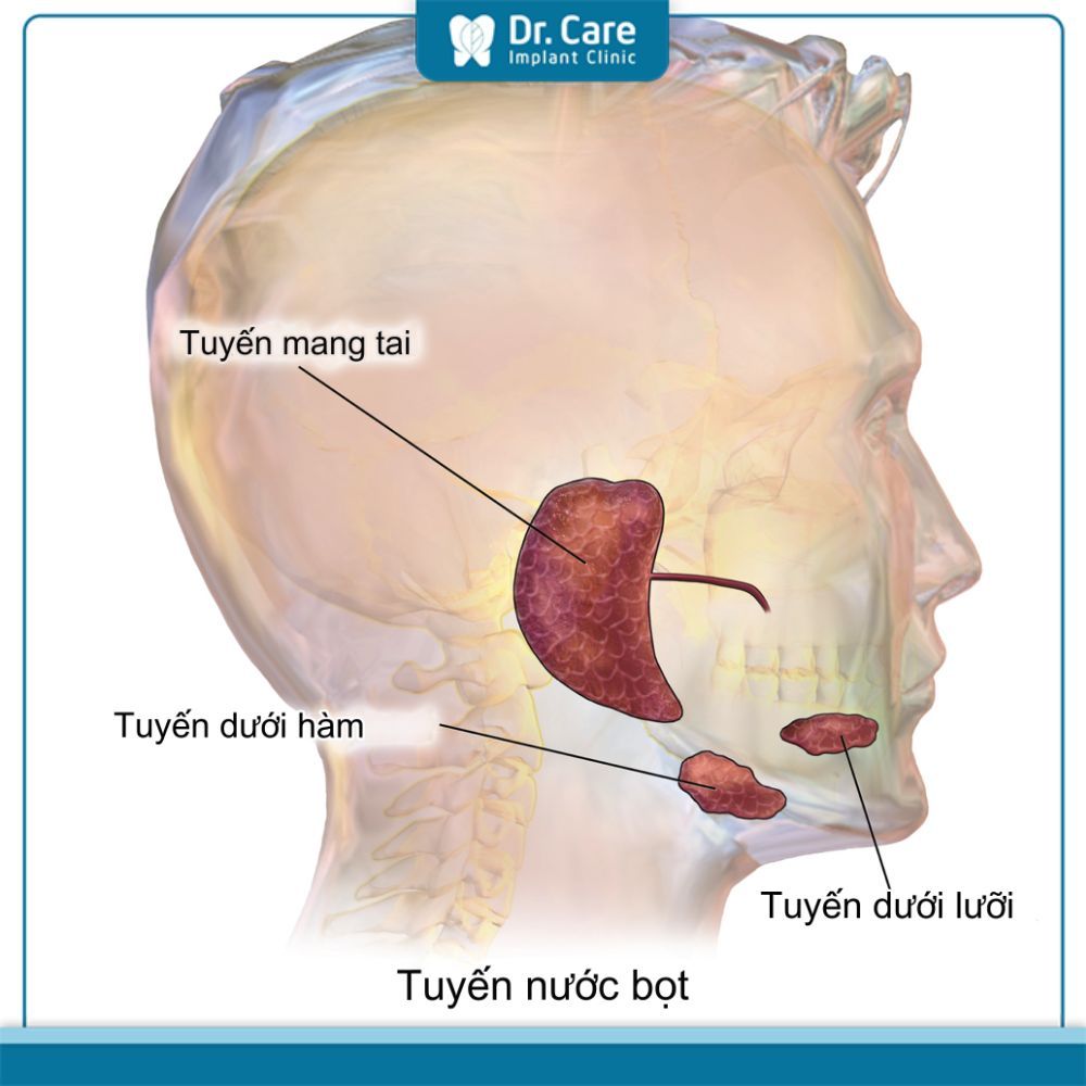 Viêm tuyến nước bọt là gì?