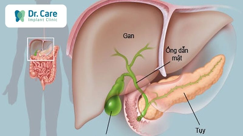 Miệng Đắng Là Dấu Hiệu Của Bệnh Gì?