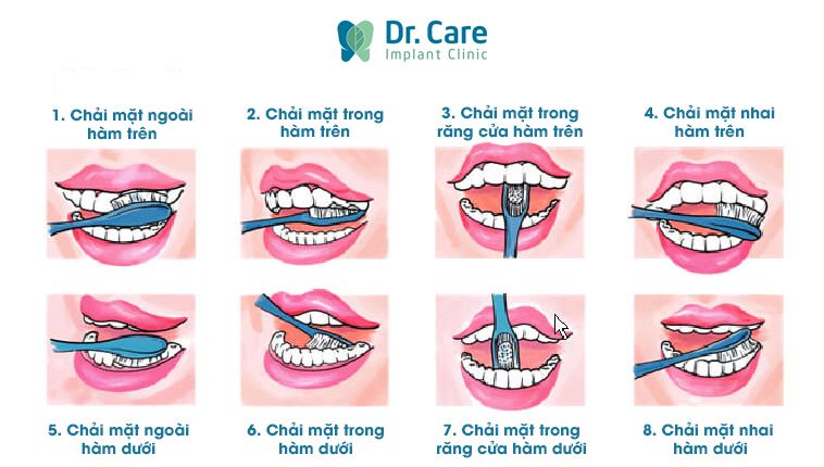 Những bước chính thực hiện đánh răng đúng và khoa học