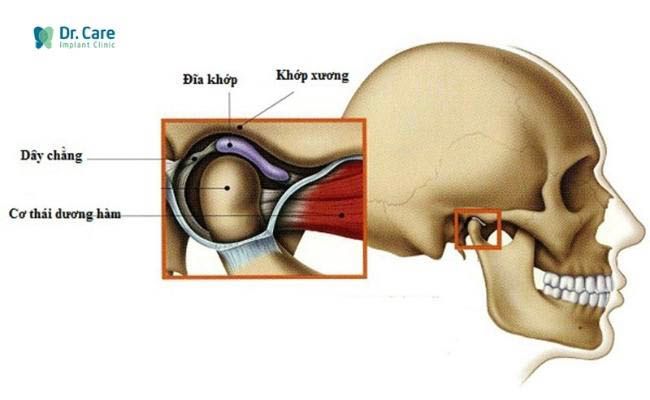 TMD là gì? Tìm hiểu đất thương mại dịch vụ và quy định pháp lý